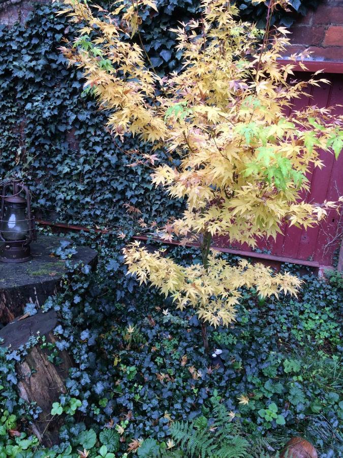Minshuku Chambres D'Hotes Japonaises Thiers Esterno foto